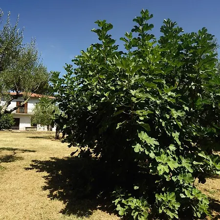 Сasa de vacaciones Casa Anitori *